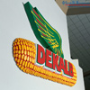 Embossed corn cob logo